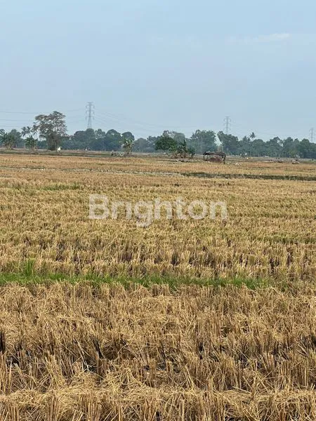 image TANAH KOMERSIAL PREMIUM 3200M² DI GALESONG UTARA (5)