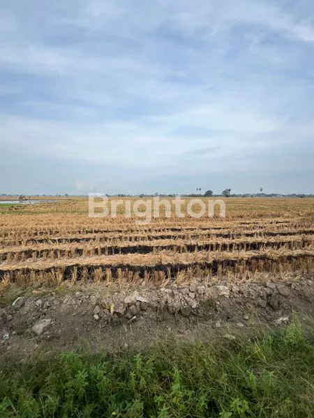 image TANAH KOMERSIAL PREMIUM 3200M² DI GALESONG UTARA (2)