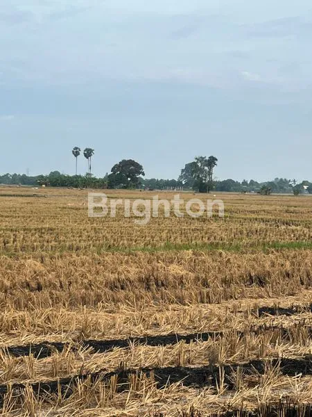 image TANAH KOMERSIAL PREMIUM 3200M² DI GALESONG UTARA (3)