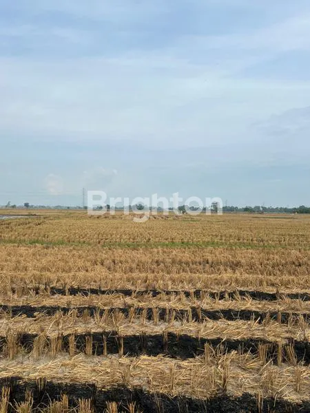 image TANAH KOMERSIAL PREMIUM 3200M² DI GALESONG UTARA (4)