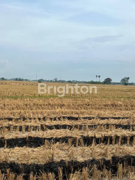 image TANAH KOMERSIAL PREMIUM 3200M² DI GALESONG UTARA (8)