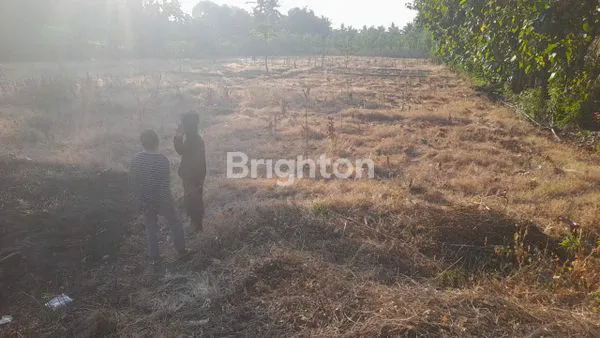 image TANAH STRATEGIS 5650M2 PINGGIR JALAN RAYA PRINGGABAYA LOMBOK (2)