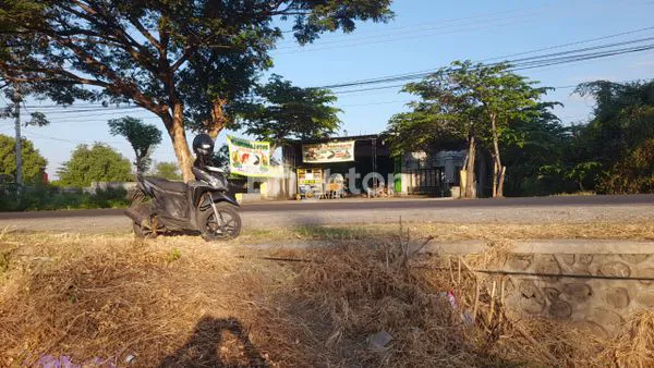 image TANAH STRATEGIS 5650M2 PINGGIR JALAN RAYA PRINGGABAYA LOMBOK (3)