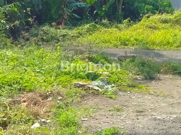 image DIJUAL TANAH, LOKASI SANGAT STRATEGIS,DEKAT TERMINAL TABANAN (3)