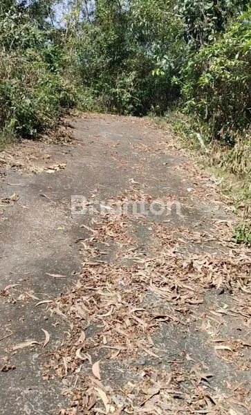 image TANAH STRATEGIS VIEW OCEAN LOKASI UNGASAN JIMBARAN (7)