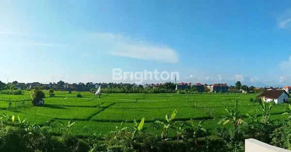 image RUMAH CANTIK DI DENTIM DENGAN VIEW SAWAH YANG ASRI (7)