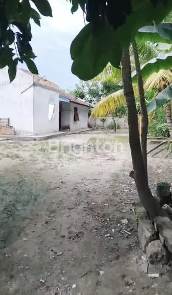 image RUKO KOMERSIAL 3 PINTU + RUMAH & KOLAM DI JL. SEPAKAT, TENAYAN RAYA (5)