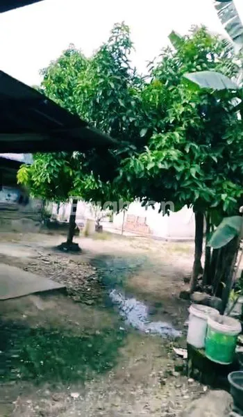 image RUKO KOMERSIAL 3 PINTU + RUMAH & KOLAM DI JL. SEPAKAT, TENAYAN RAYA (6)