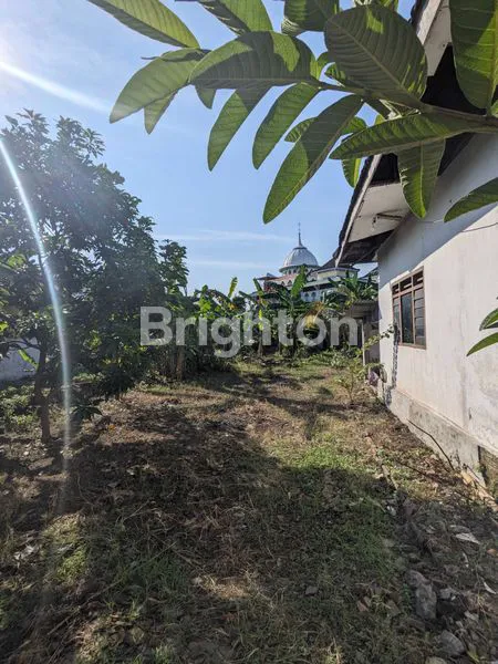 image RUMAH DAN PEKARANGAN MOJOKERTO  (1)