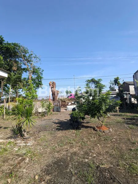 image RUMAH DAN PEKARANGAN MOJOKERTO  (3)