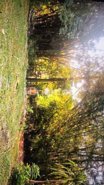 image LAND FOR LONGLEASE 30YEARS AT PERERENAN (5)