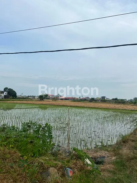 image TANAH SAWAH PREMIUM 4000M² PINGGIR JALAN RAYA GALESONG UTARA (2)