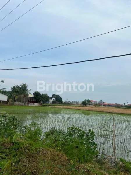 image TANAH SAWAH PREMIUM 4000M² PINGGIR JALAN RAYA GALESONG UTARA (3)