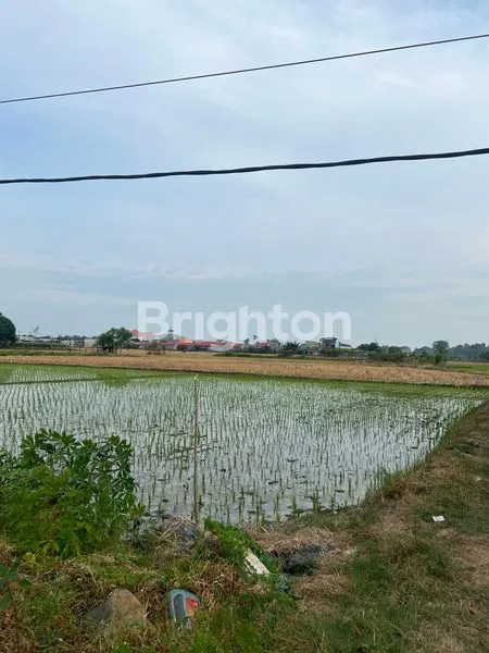 image TANAH SAWAH PREMIUM 4000M² PINGGIR JALAN RAYA GALESONG UTARA (4)