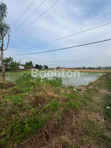 image TANAH SAWAH PREMIUM 4000M² PINGGIR JALAN RAYA GALESONG UTARA (5)