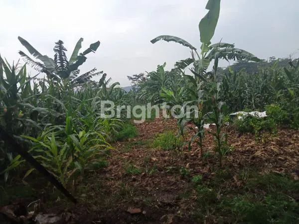 Gambar Property TANAH SIAP PAKAI UNTUK USAHA MIJEN SEMARANG