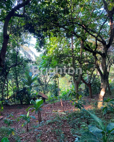 image LAHAN SEGEDE GABAN, HARGA MASIH WARAS – JARANG ADA DI JAKARTA! (4)