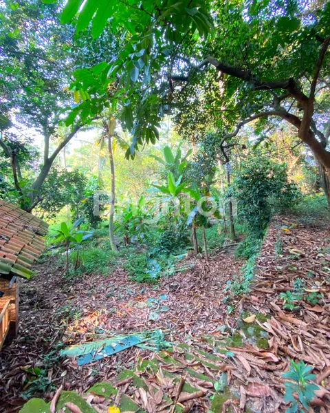 image LAHAN SEGEDE GABAN, HARGA MASIH WARAS – JARANG ADA DI JAKARTA! (6)