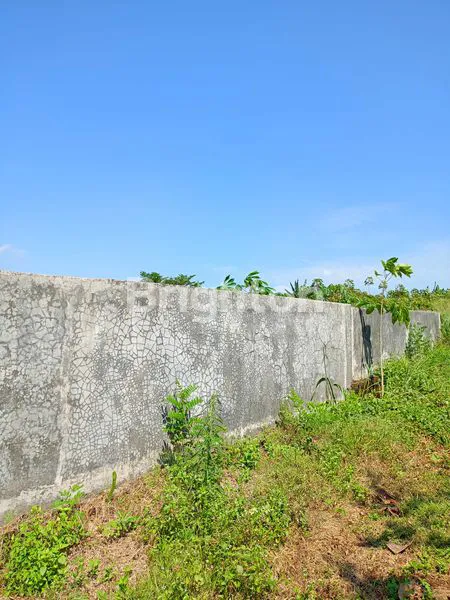 image TANAH KAVLING PREMIUM 500M² DEKAT STASIUN KRL BOJONG GEDE (6)