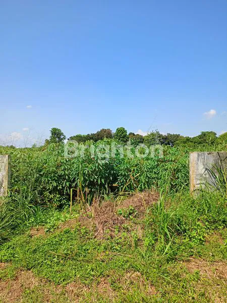 image TANAH KAVLING PREMIUM 500M² DEKAT STASIUN KRL BOJONG GEDE (2)