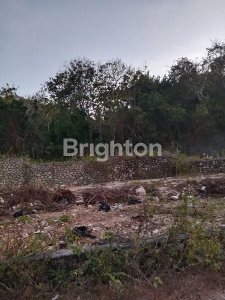 image TANAH DIJUAL – UGASAN, BALI\UD83D\UDCCD LOKASI: JALAN UNTAMA, UGASAN (4)