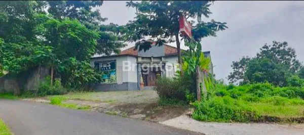 image BEST PRICE, BEST LOCATION, BEST EVERTYHING BEST, VILLA AT  TEMUKUS (LOVINA) BALI.  (6)