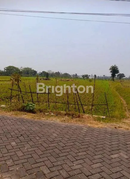 image TANAH LEMARIS DEKAT PUSKESMAS LINGKUNGAN ASRI (1)