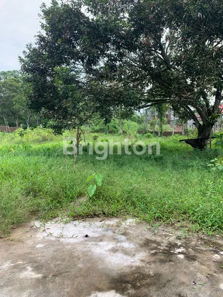 image KAVLING DI JALAN AMPERA RAYA, COCOK UNTUK DIBANGUN GUDANG ATAU PERKEBUNAN (2)