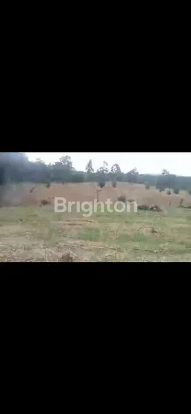 TANAH DIJUAL BERLOKASI DI MERBAU MATARAM