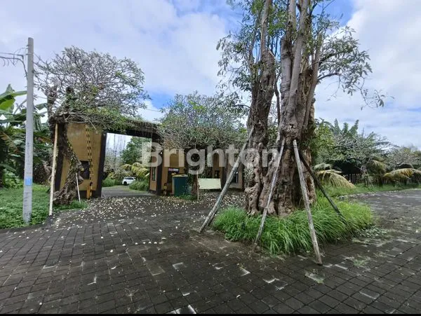 image KAVLING PREMIUM SIYUT, GIANYAR – PROF. DR. IDA BAGUS MANTRA (2)