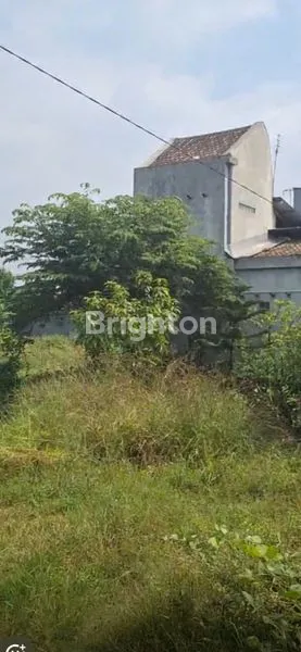 Gambar Property DIJUAL TANAH NGANTONG DI NGORO MOJOKERTO