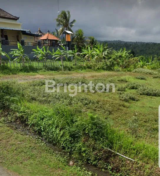 image TANAH LINGKUNGAN ASRI DI JEMBRANA (2)