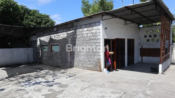 image DI KONTRAKKAN TANAH SANUR (2)