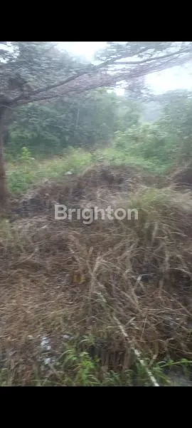 image INVESTASI TANAH SUBUR 200M², LOKASI PRIMA (2)