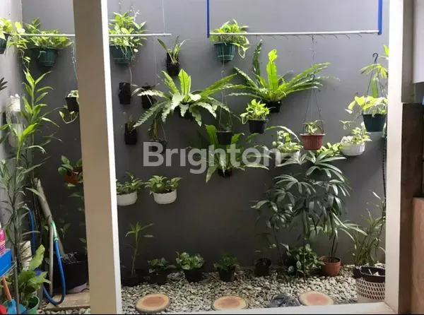 image NATURA RESIDENCE (4)