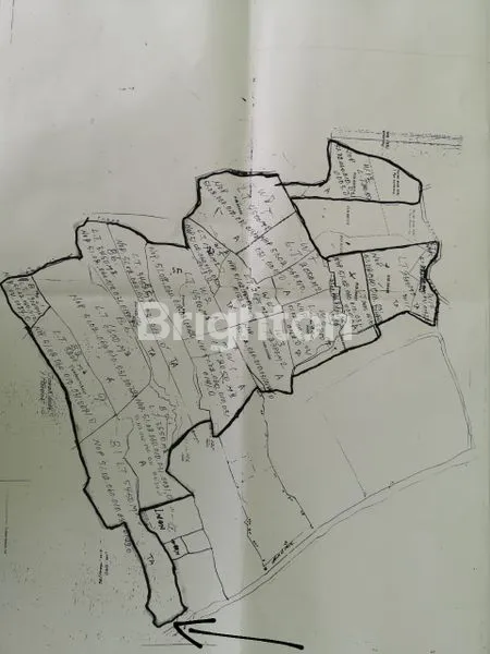 image TANAH LUAS 7 HEKTAR DI BEDUGUL, COCOK VILLA/HOTEL (2)