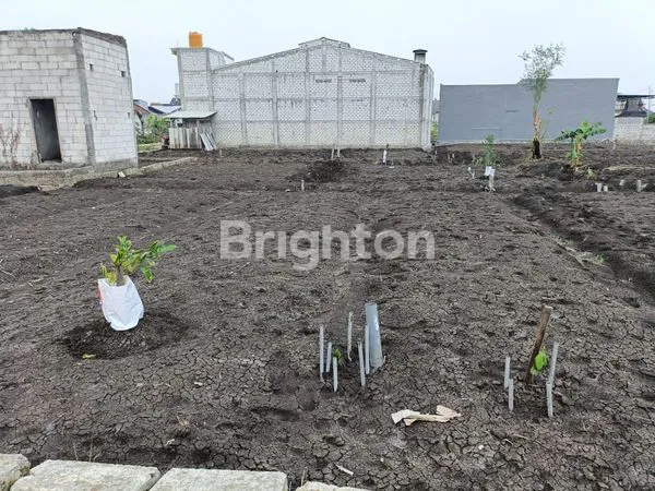 Gambar Property DIJUAL TANAH DI MENGANTI