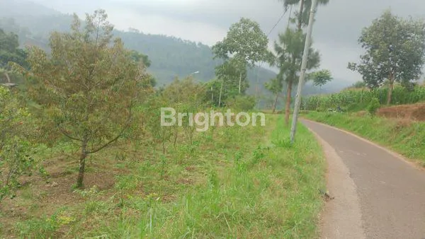 image \\UD83C\\UDF3F DIJUAL TANAH STRATEGIS DI PUJON – COCOK UNTUK INVESTASI & AGROWISATA! \\UD83C\\UDF3F (1)