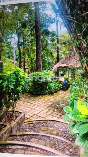 image TANAH SEWA JANGKA PANJANG (1)