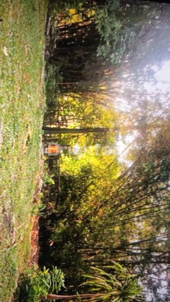 image TANAH SEWA JANGKA PANJANG (8)