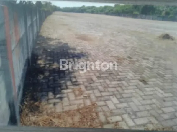 image DISEWAKAN TANAH STRATEGIS DI AREA TAMBAK OSOWILANGUN – INVESTASI IDEAL UNTUK BISNIS ! (3)