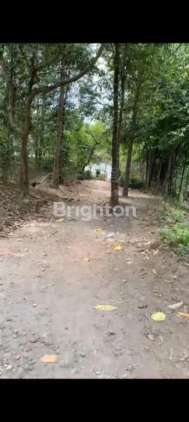 image PEKARANGAN AREA BERKEMBANG NEXT KAMPUS UKDW (1)