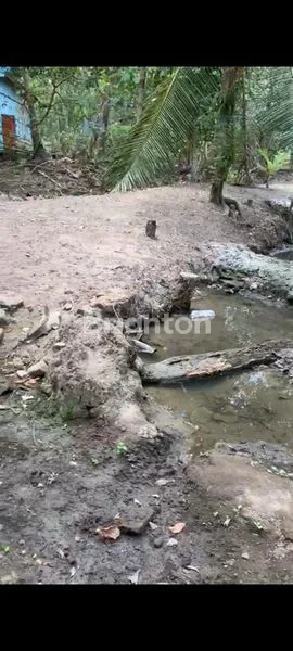 image PEKARANGAN AREA BERKEMBANG NEXT KAMPUS UKDW (3)