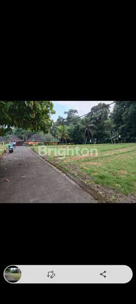 image  LAND FOR RENT IN NYAMBU KABA KABA TABANAN BALI (8)