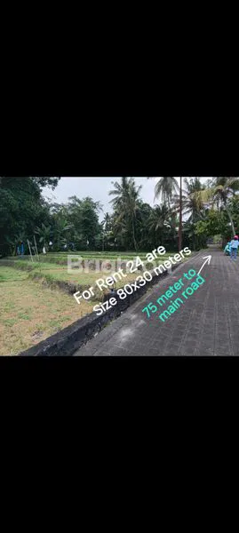 image  LAND FOR RENT IN NYAMBU KABA KABA TABANAN BALI (7)