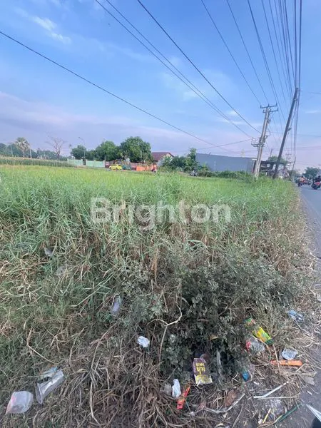 image TANAH KOMERSIAL PREMIUM 2300M² DI JALAN POROS GALESONG TAKALAR (4)