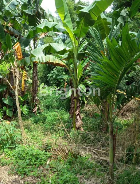 image UNIT BUC, TANAH KAVLING DI PERUMAHAN TABANAN (3)