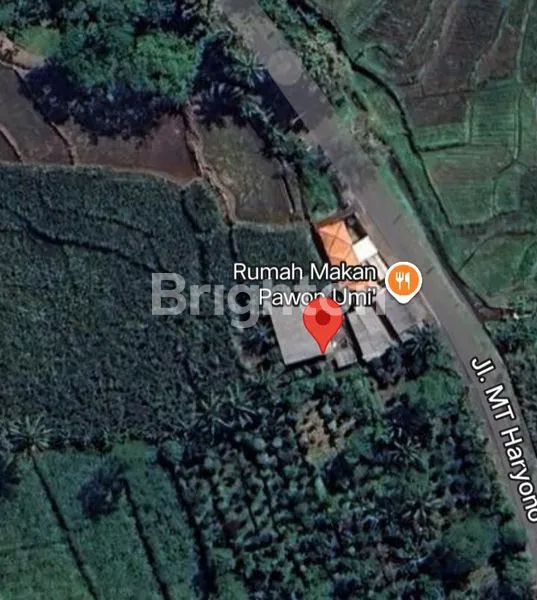 image DI JUAL SAWAH/KEBUN TEBU (2)