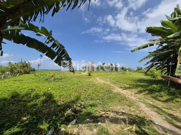 EKSKLUSIF TANAH BEACH FRONT DI PANTAI KETEWEL