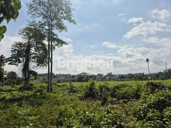 image EKSKLUSIF TANAH BEACH FRONT DI PANTAI KETEWEL (8)